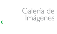 Galería de Imágenes